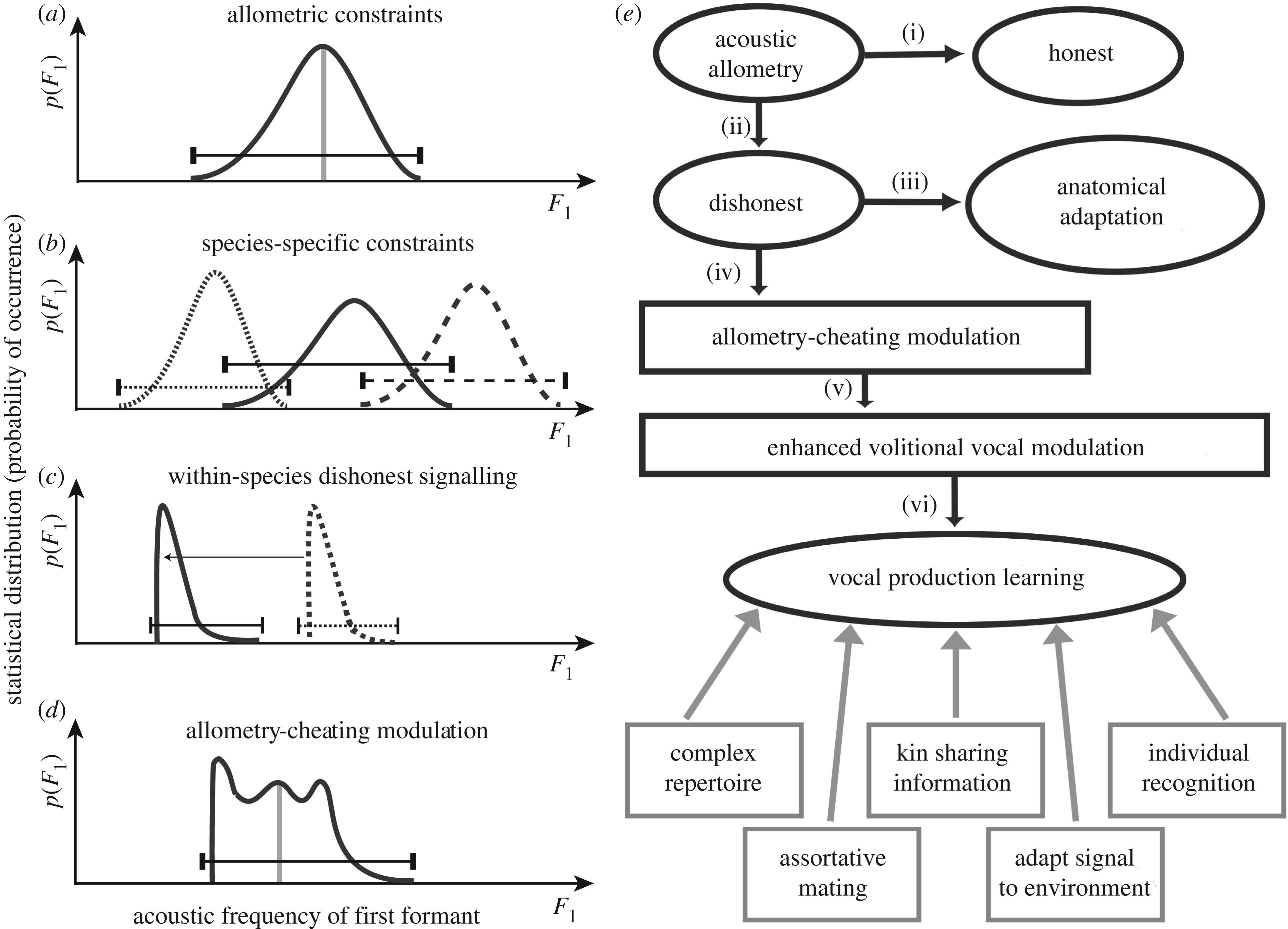 Image of the paper